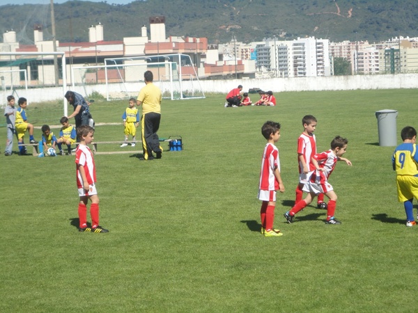 petizes25abril00 petizes25abril00