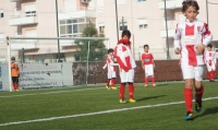 jogo_treino_benfica_1e9ecsgr jogo_treino_benfica_1e9ecsgr