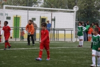 traquinas_html_m7451c30d traquinas_html_m7451c30d