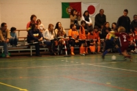 traquinas_html_m7d007ed traquinas_html_m7d007ed