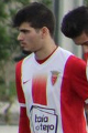 luis pedro