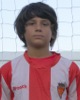 fiel