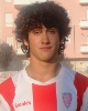 bruno_pires